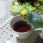 クッキー
